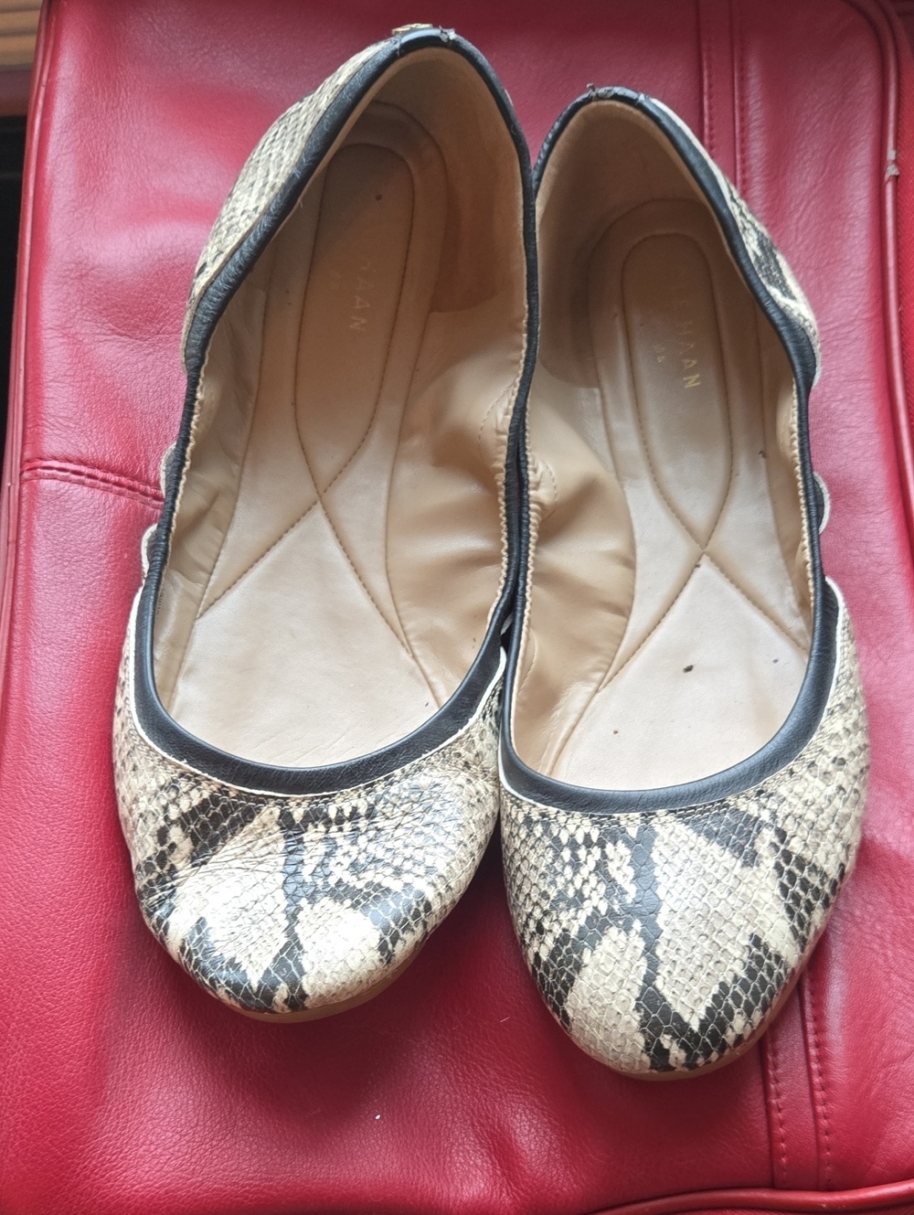 Cole Haan Snake-Print Ballet Flats in Beige and Black